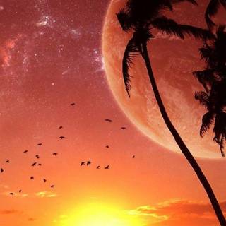 Sunrise 4k phone wallpaper