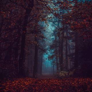 Dark autumn aesthetic wallpaper