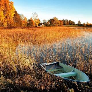 Autumn boat wallpaper