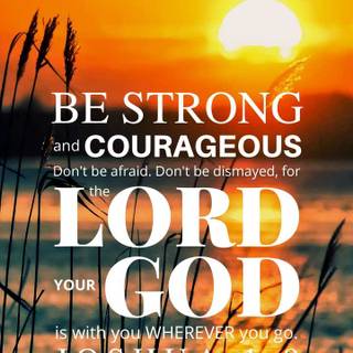 Sunrise 4k phone wallpaper