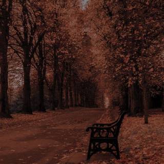 Dark autumn aesthetic wallpaper