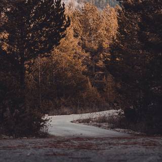 Dark autumn aesthetic wallpaper