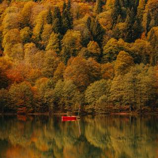 Autumn boat wallpaper