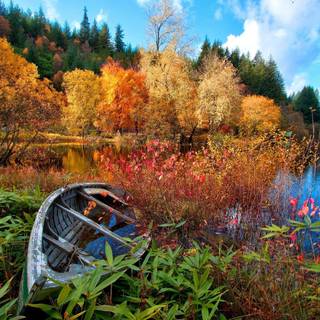 Autumn boat wallpaper
