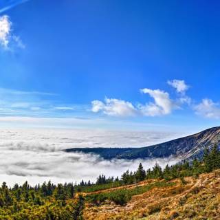 Sky and Earth wallpaper