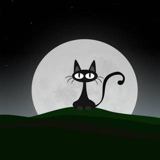 Black cat cartoon wallpaper