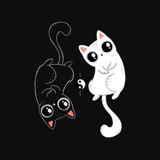 Black cat cartoon wallpaper