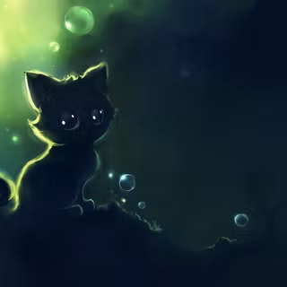Black cat cartoon wallpaper