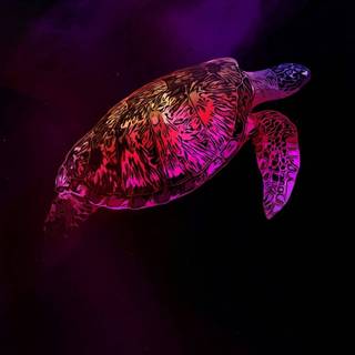 Purple turtles wallpaper