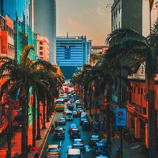 City summer vibes wallpaper