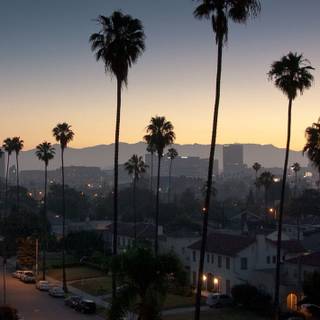 City summer vibes wallpaper