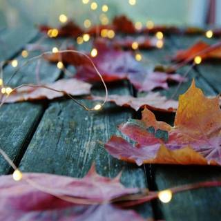 Teal autumn wallpaper