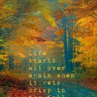 Teal autumn wallpaper