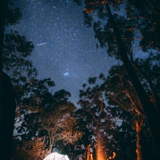 Summer vibe phone wallpaper