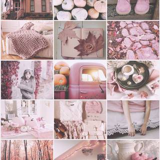 Pink aesthetic autumn wallpaper
