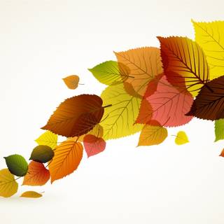 Autumn leaves UHD wallpaper