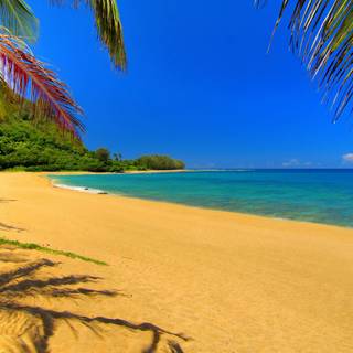 Desktop cute summer wallpaper