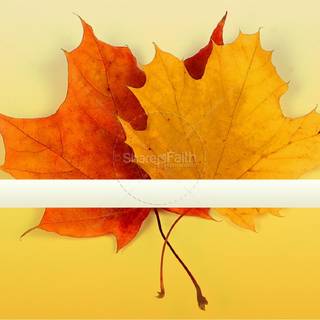 Autumn welcome wallpaper