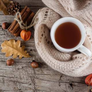 Cozy autumn aesthetic PC wallpaper