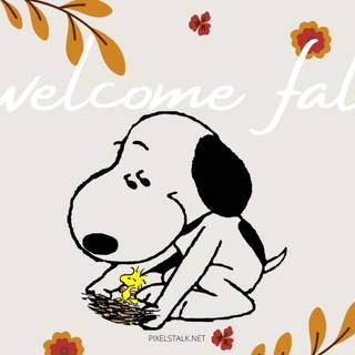 Autumn welcome wallpaper