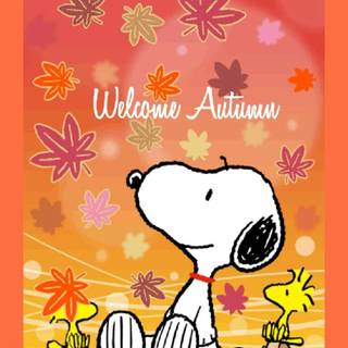Autumn welcome wallpaper
