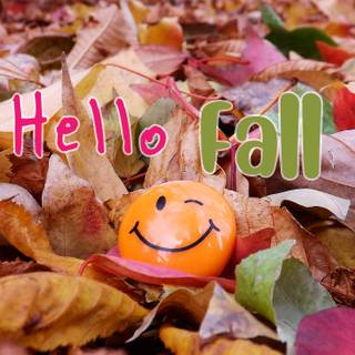 Autumn welcome wallpaper