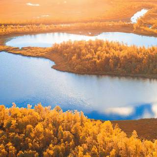 Sweden iPhone wallpaper