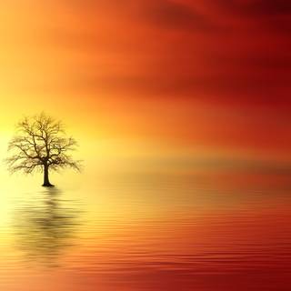 Sunsets 4k wallpaper