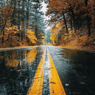 Nature iPhone X 4k wallpaper