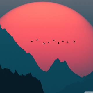 Sunsets 4k wallpaper