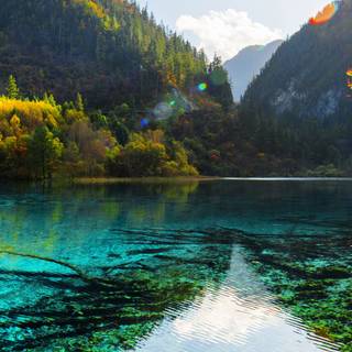 Nature iPhone X 4k wallpaper