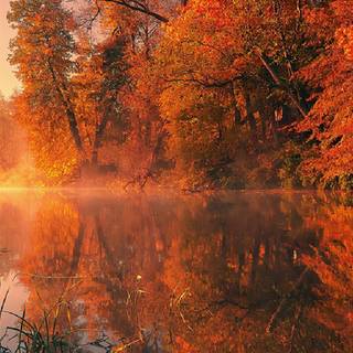 Nature iPhone X 4k wallpaper