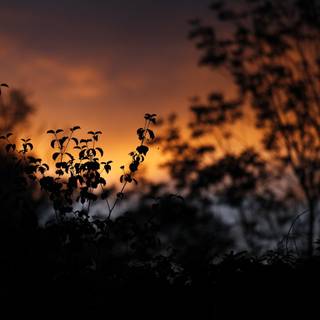 Sunsets 4k wallpaper