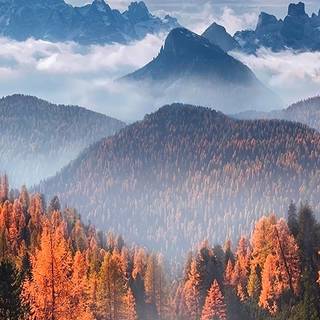 Nature iPhone X 4k wallpaper