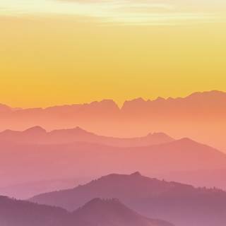 Nature iPhone X 4k wallpaper