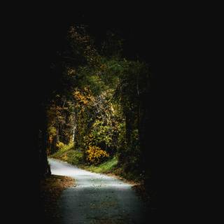 Phone amoled 4k wallpaper