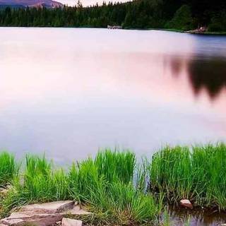 Nature iPhone X 4k wallpaper