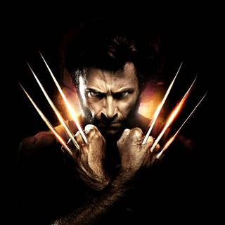 Wolverine 4k PC wallpaper