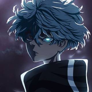 Inui Seishū wallpaper