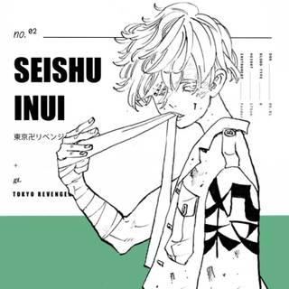 Inui Seishū wallpaper