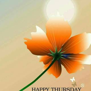 Have a great day wallpaper