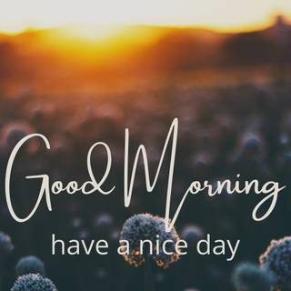 Have a great day wallpaper