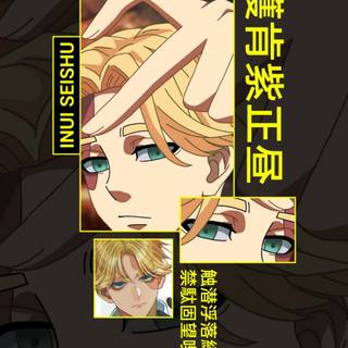 Inui Seishū wallpaper