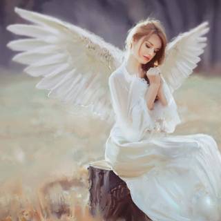 Angelic colors wallpaper