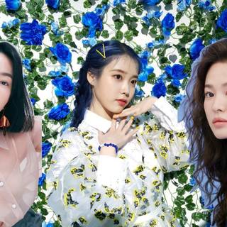 Korean actresses icons wallpaper