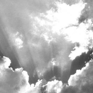 4k iPhone white wallpaper