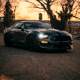 Racing cars phone wallpaper