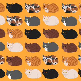 Cat loaf wallpaper