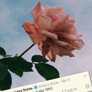 1950s phone aesthetic wallpaper