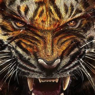 Tiger iPhone 4k wallpaper